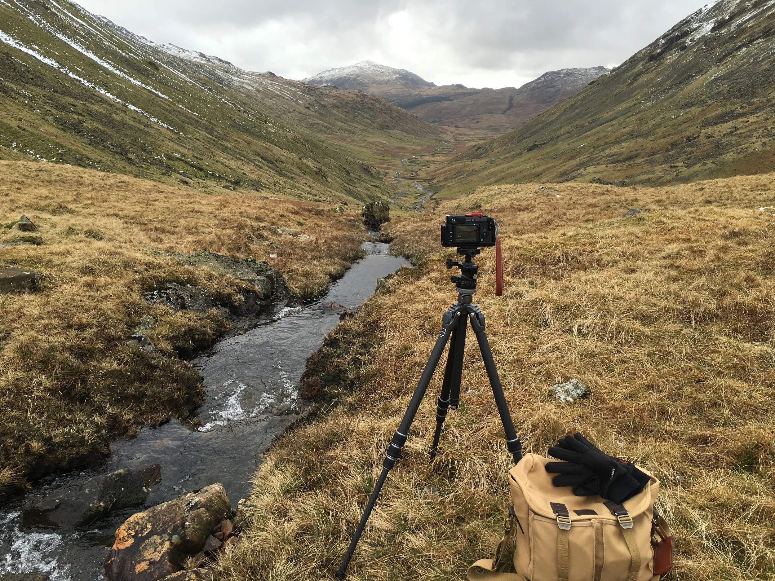 The Written Word and a Leap into Spring