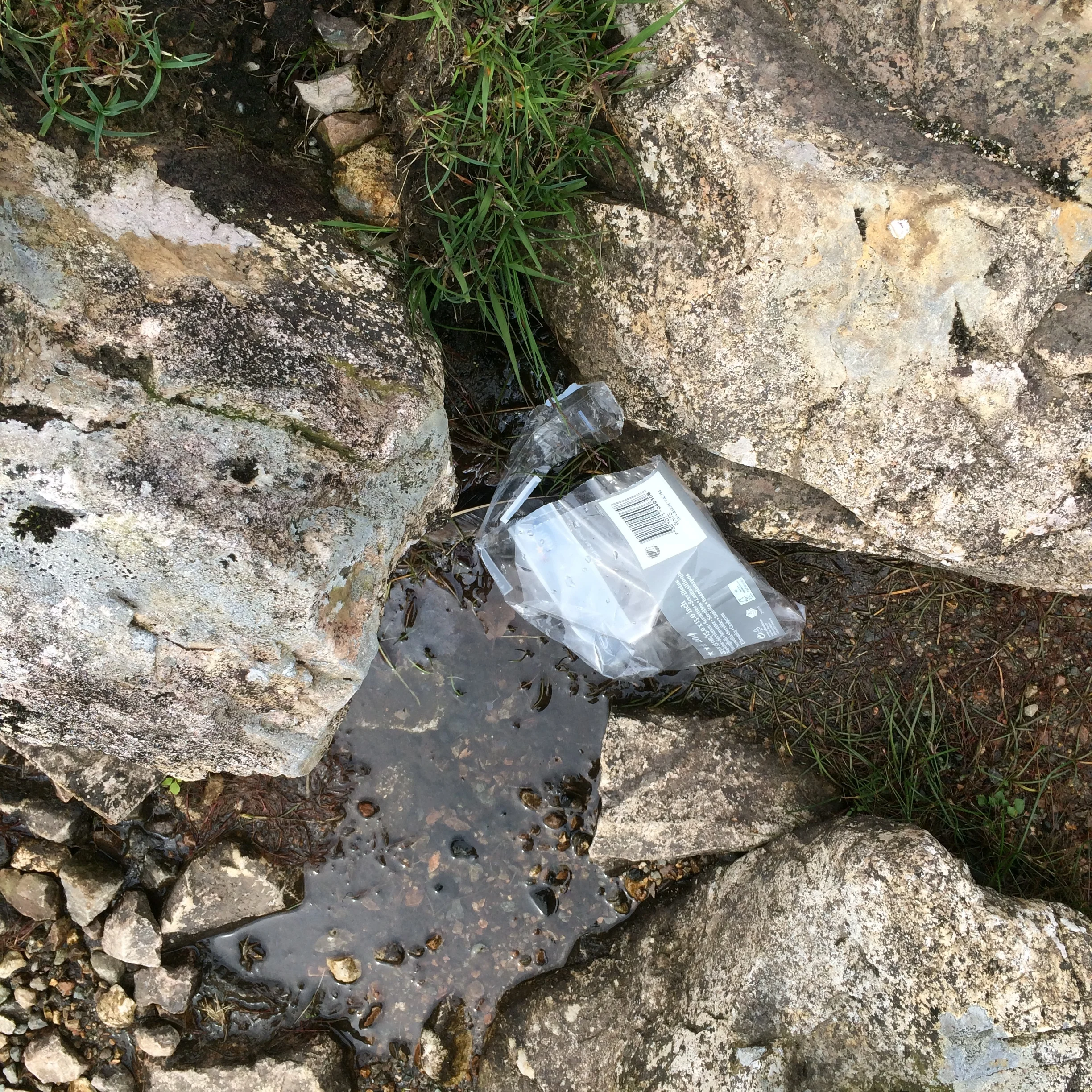 A bag simply discarded