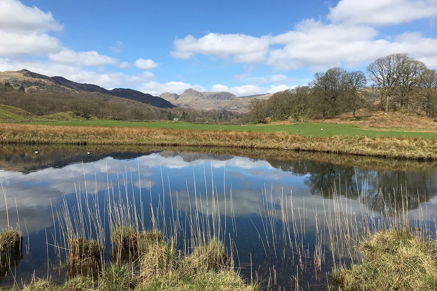 A Blog For All Seasons.....Look away if you are squeamish