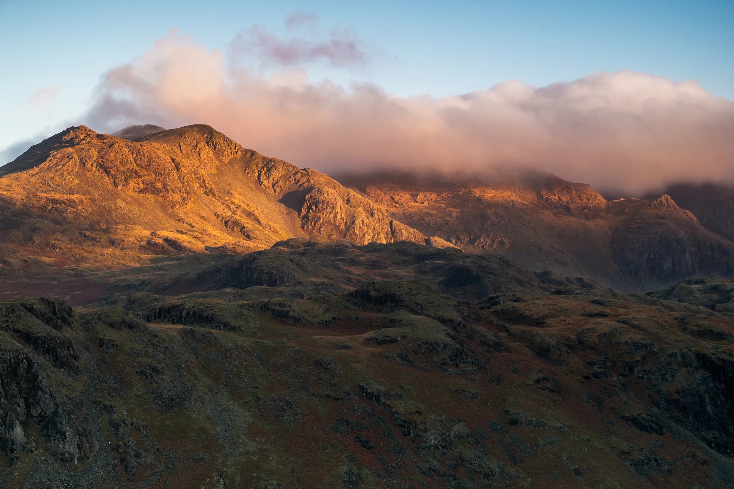 GOLDEN LIGHT AT DAWN taken with the X Pro1