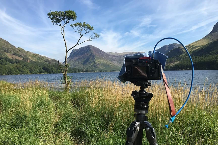 'That' tree at Buttermere