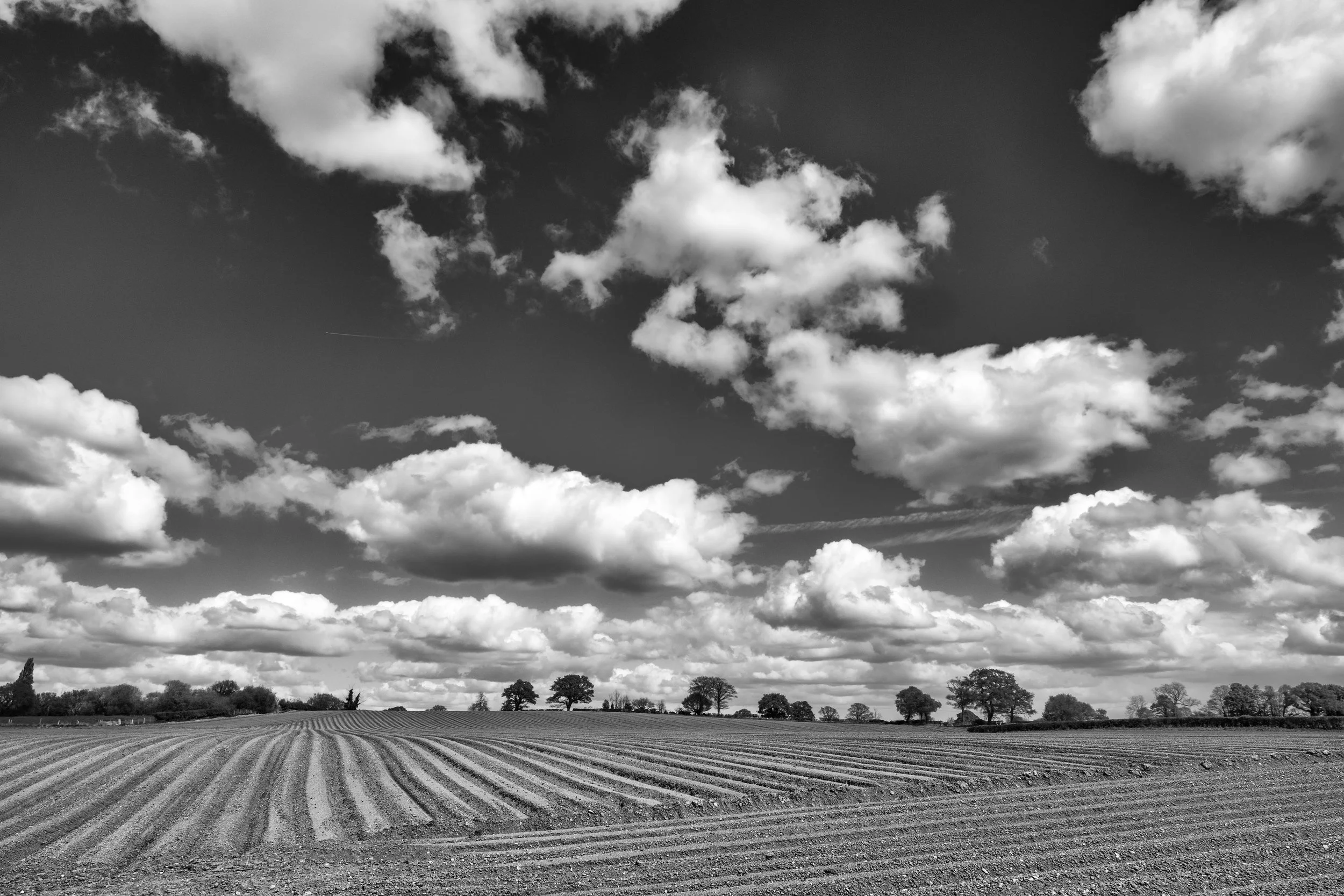 Fields and Sky. Although shot in colour I liked the Black and White conversion.