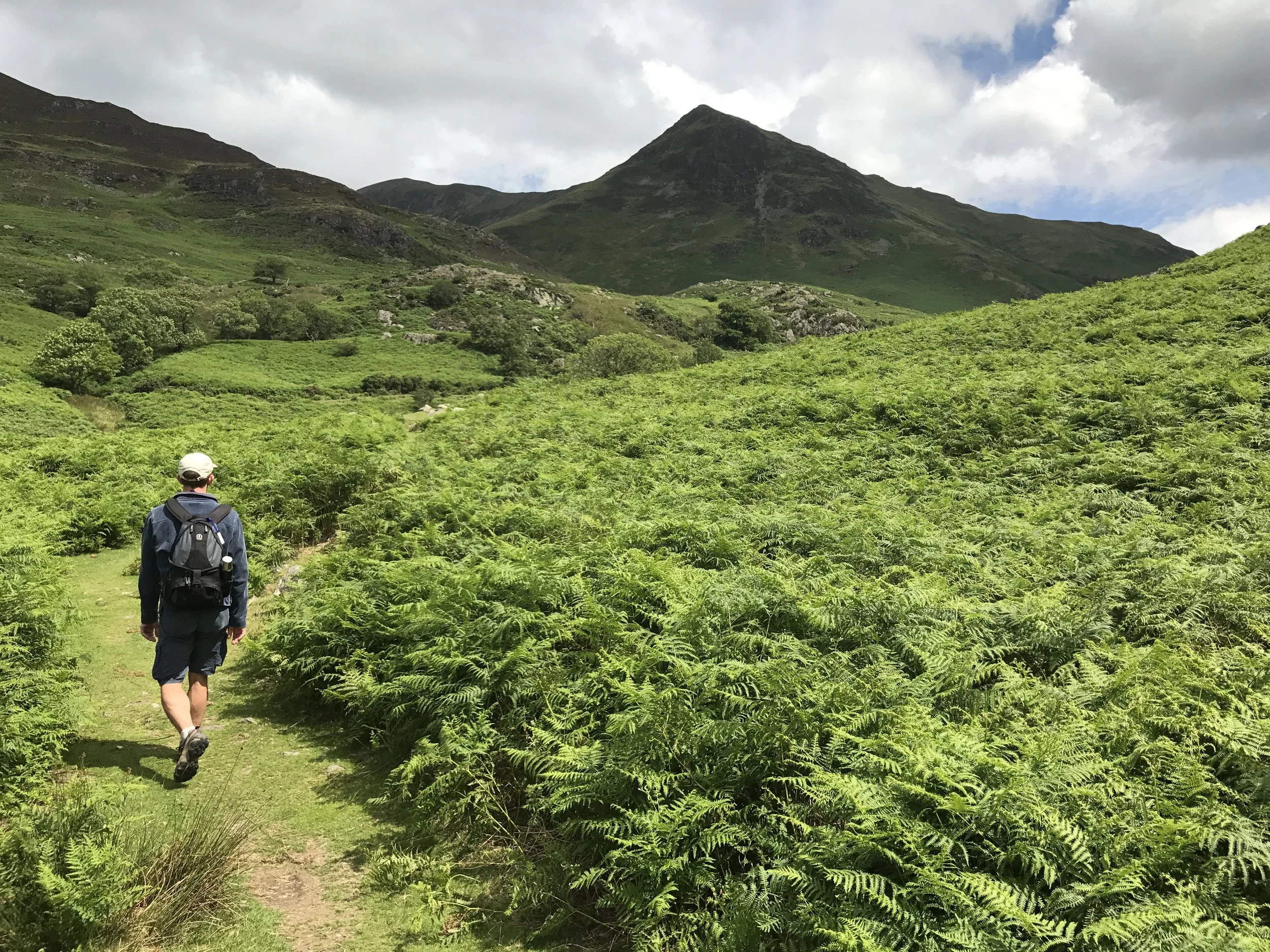 Tim at Rannerdale. He is over 6'3" so you can gauge the bracken