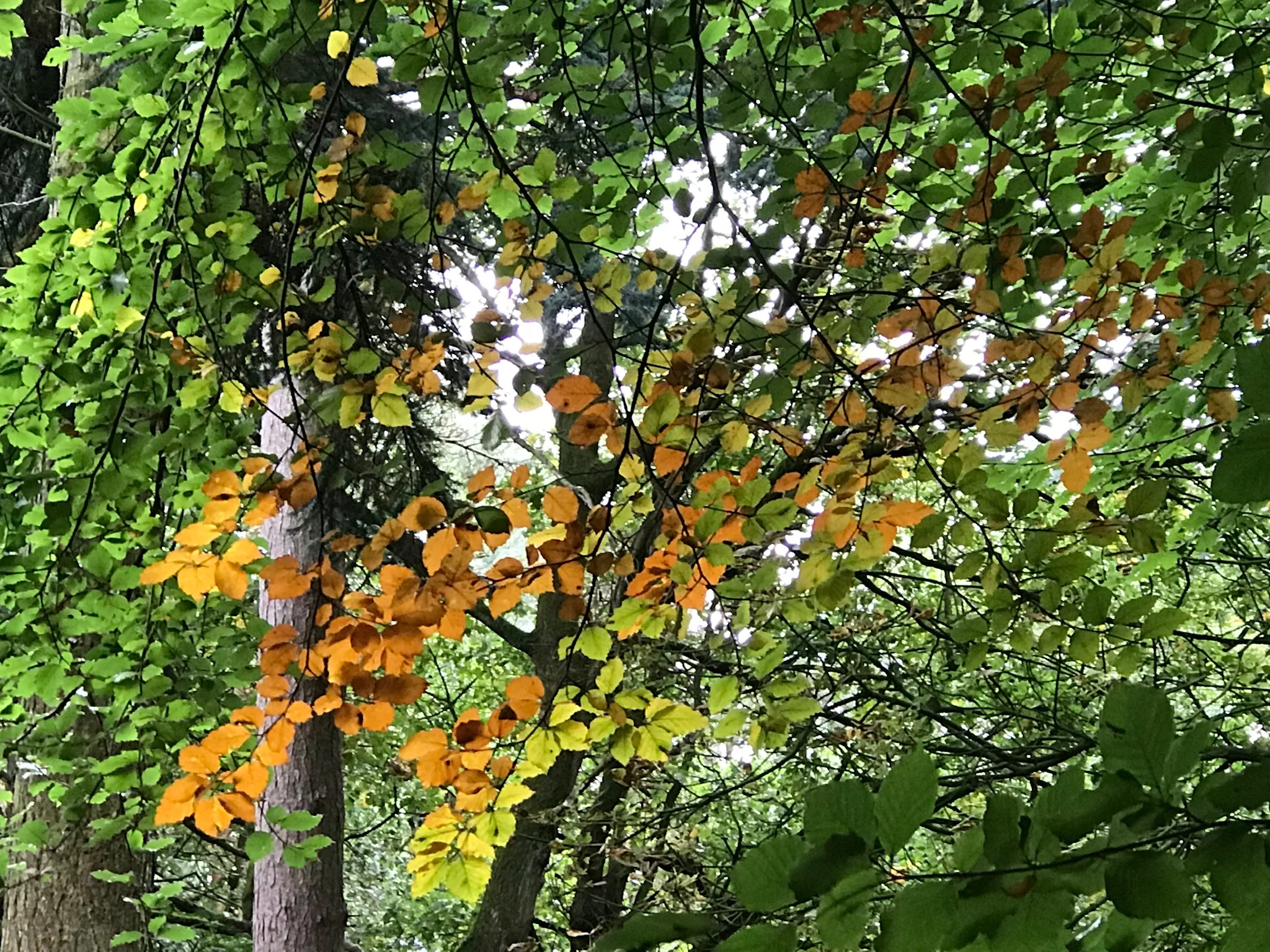 October Already......