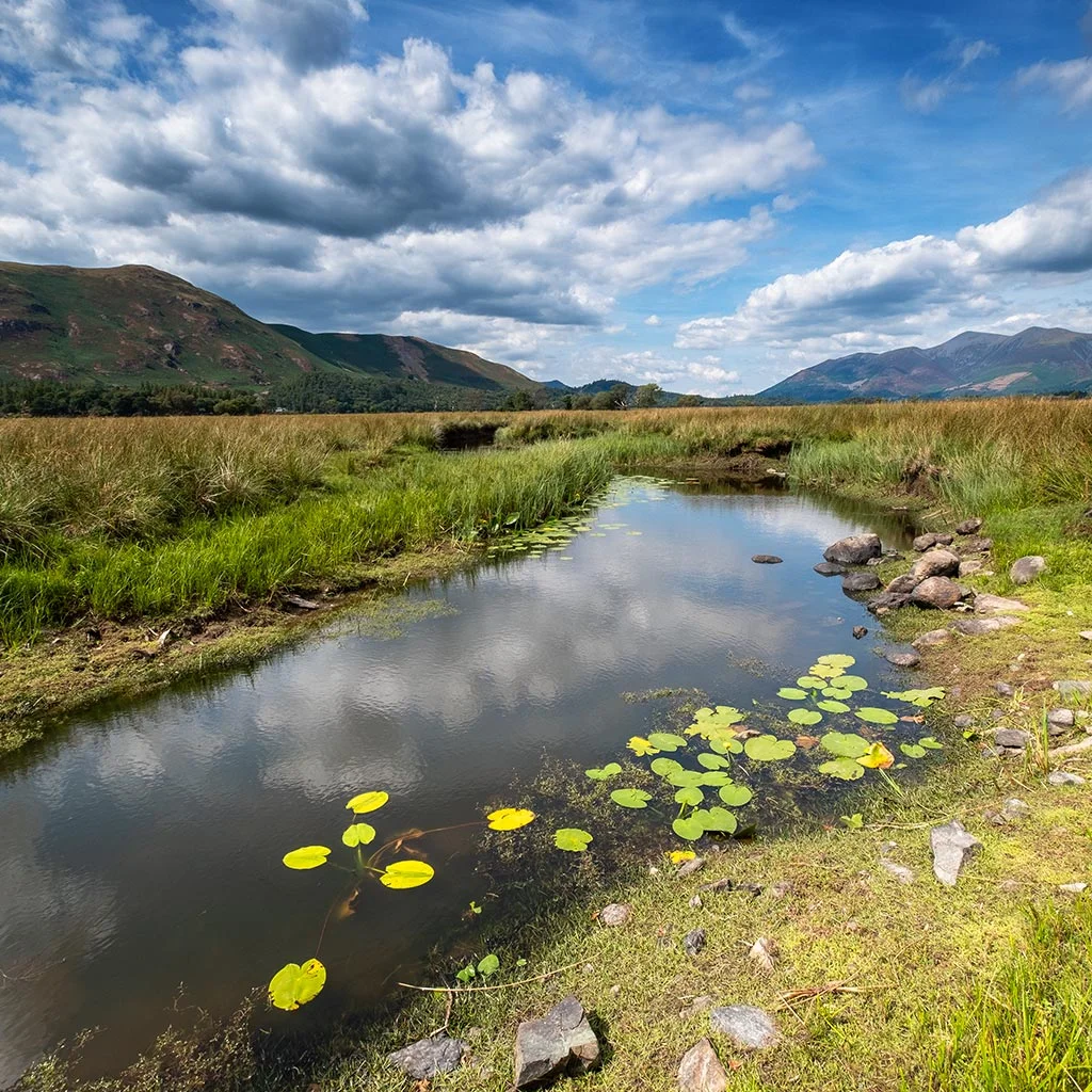 River Derwent