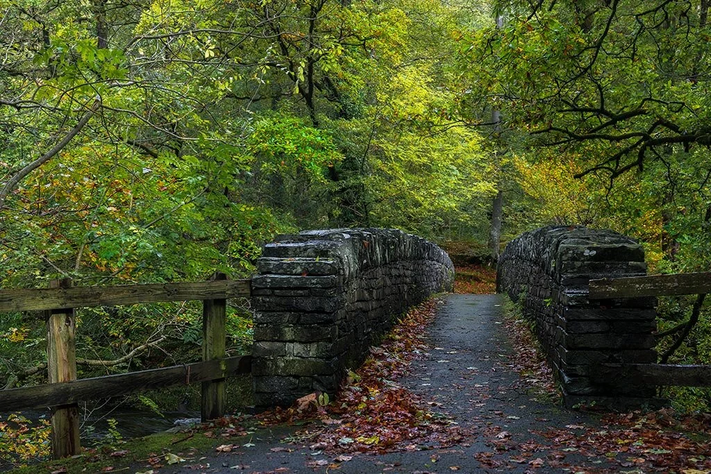 Autmnal-Bridge.jpg
