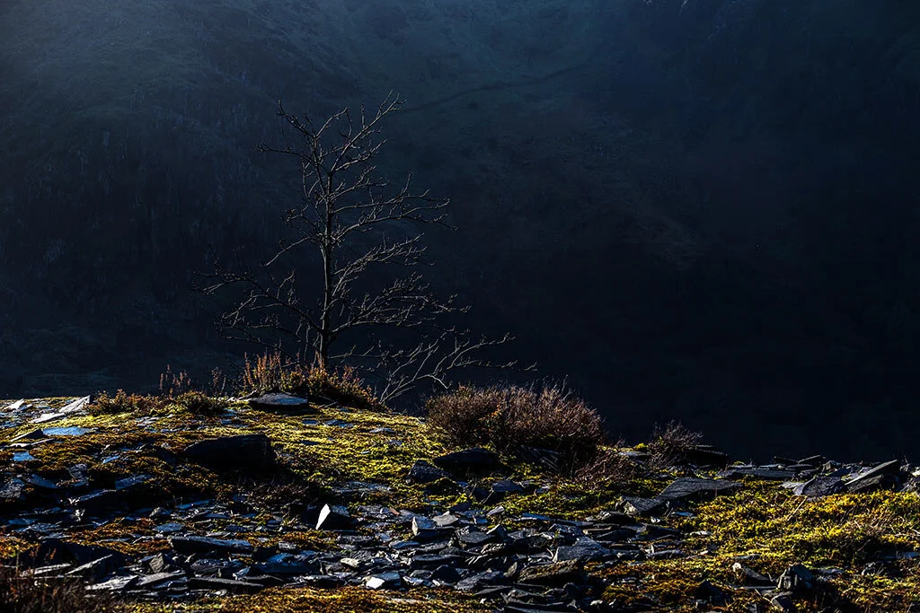 The-Fragility-Of-Fading-Light.jpg