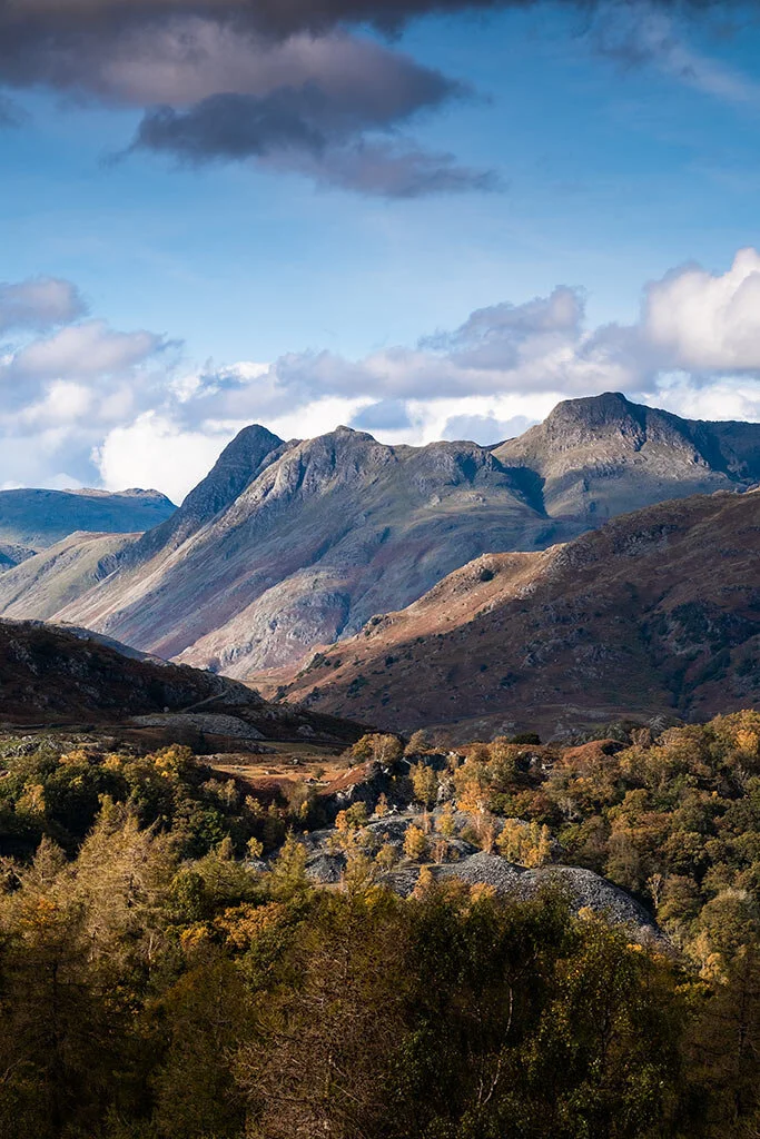 Autumn-Around-Holme-Fell-Portrait-View.jpg
