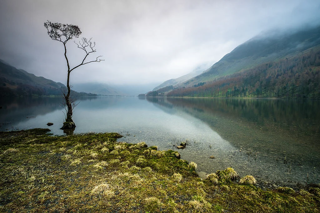 Mixed-Light-On-A-Winters-Day-By-That-Tree-At-Buttermere.jpg