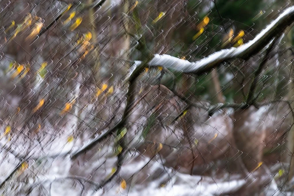 Dashing-Through-The-Snow.jpg