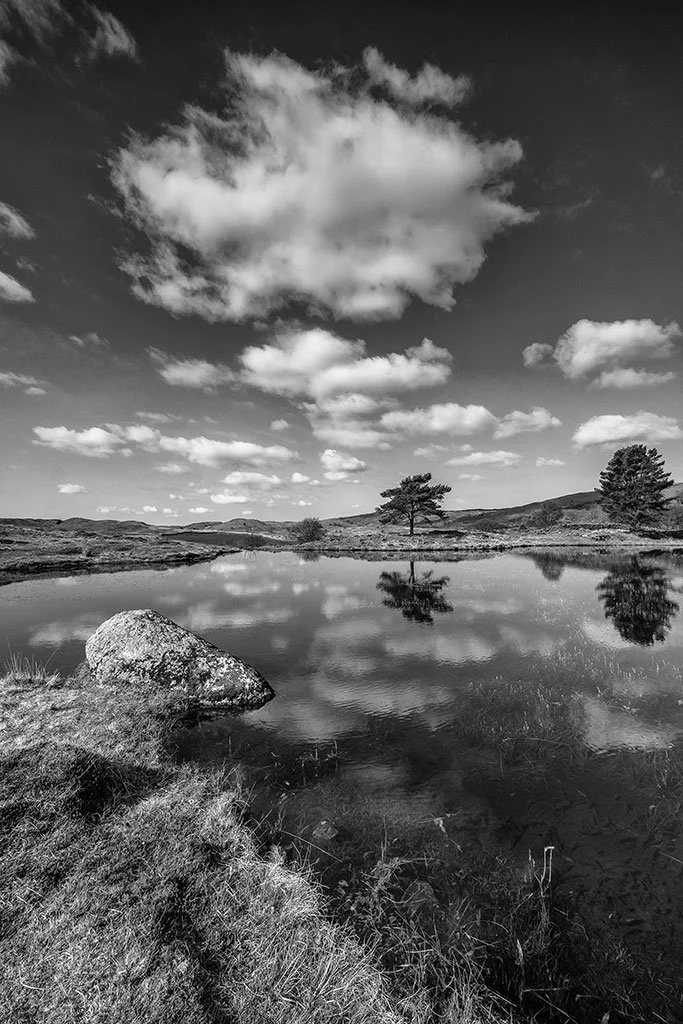 Gorgeous-Spring-Day-At-Kelly-Hall-Tarn-baw.jpg