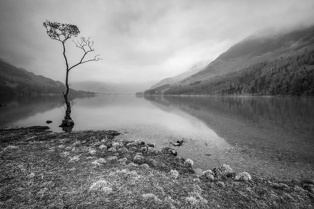 Mixed-Light-On-A-Winters-Day-By-That-Tree-At-Buttermere-baw.jpg