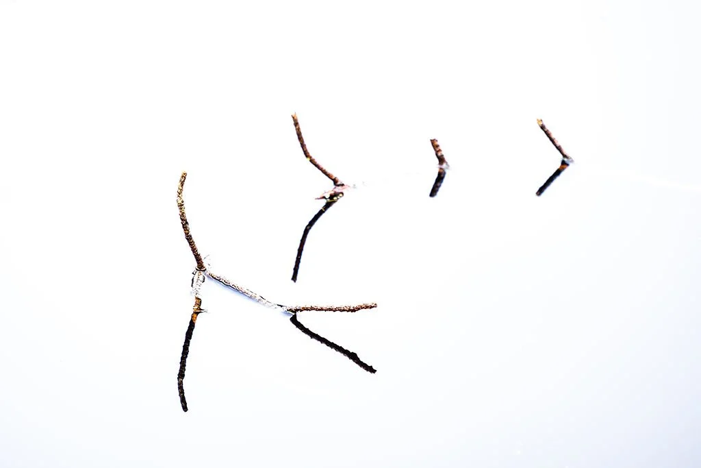 Sticks.jpg
