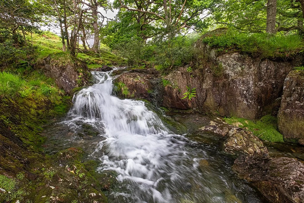 A-Wet-Summers-Day-By-Afon-Cwm-Allan.jpg