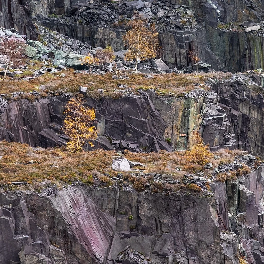 Ledges.jpg