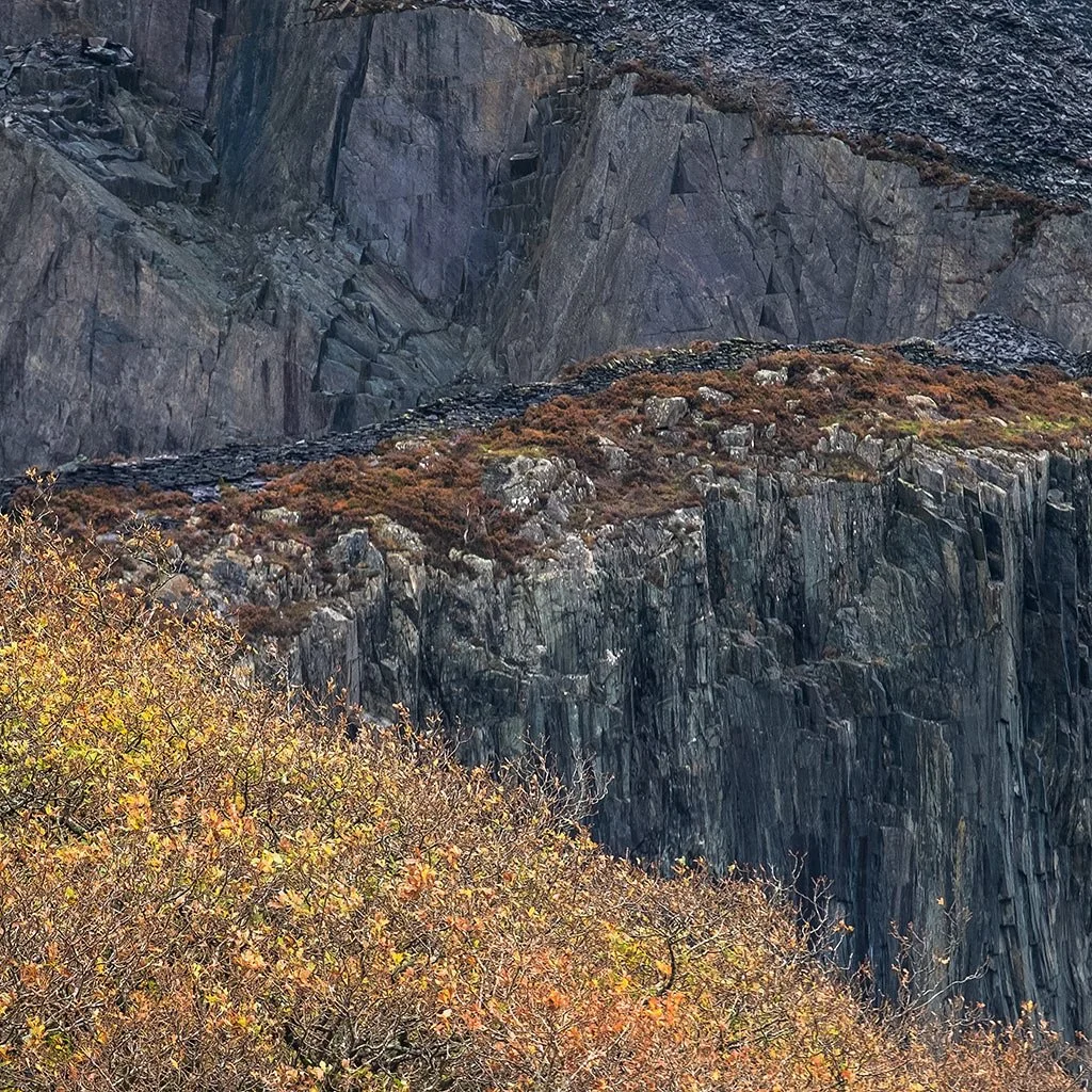Autumn-Abstract-At-Dinorwig.jpg