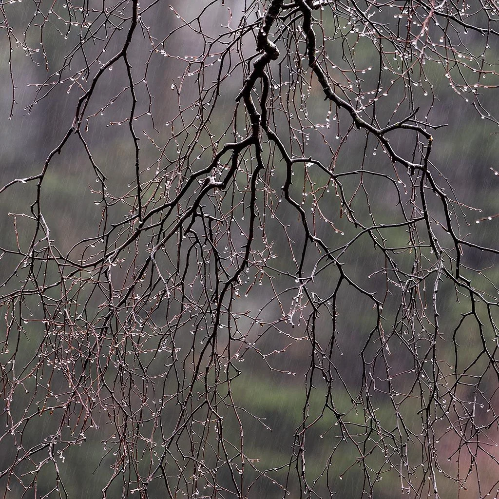 Droplets-sq.jpg