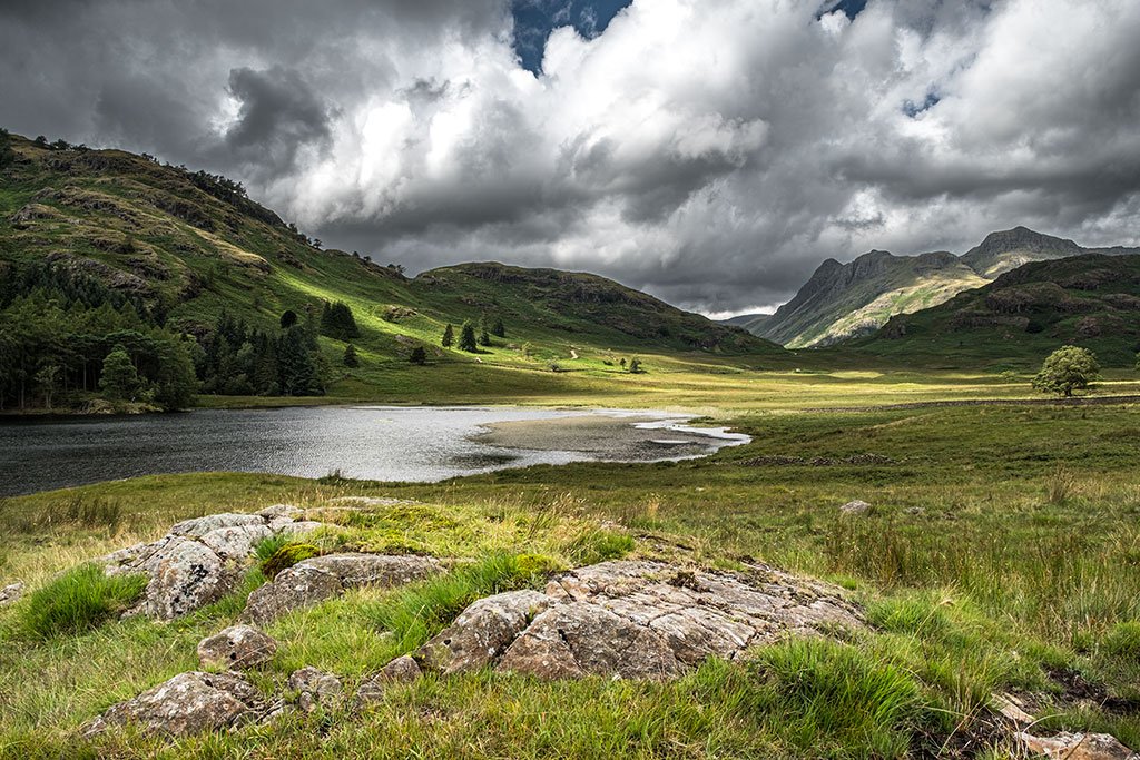 A-Summers-Afternoon-By-Blea-Tarn-Looking-Towardfs-The-Langdales.jpg