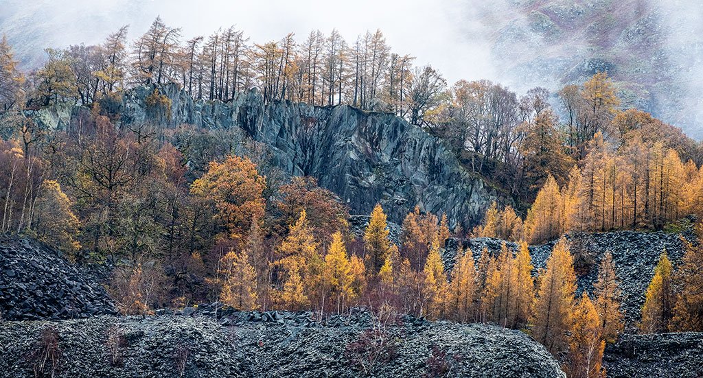 Hodge-Close-In-late-Autumn-Pano.jpg