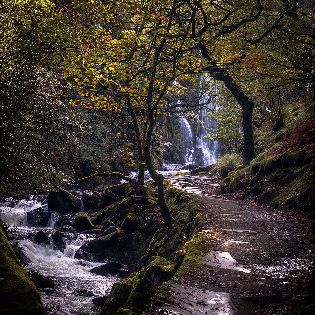 Ceunant-Waterfall-In-Autumn-sq.jpg