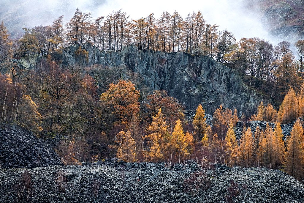 Late-Autumn-At-Hodge-Close-Quarry.jpg