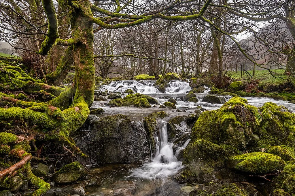 Deepdale-Beck-Waterfall-In-Spring-Spate.jpg