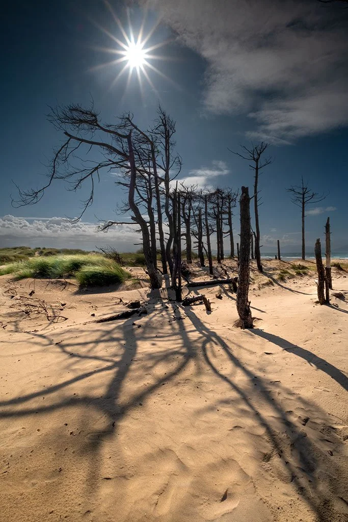 Under-the-Midday-Sun-At-Newborough.jpg