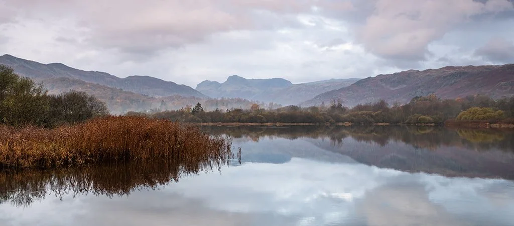 'Intimate Landscapes' And 'Viewpoints'
