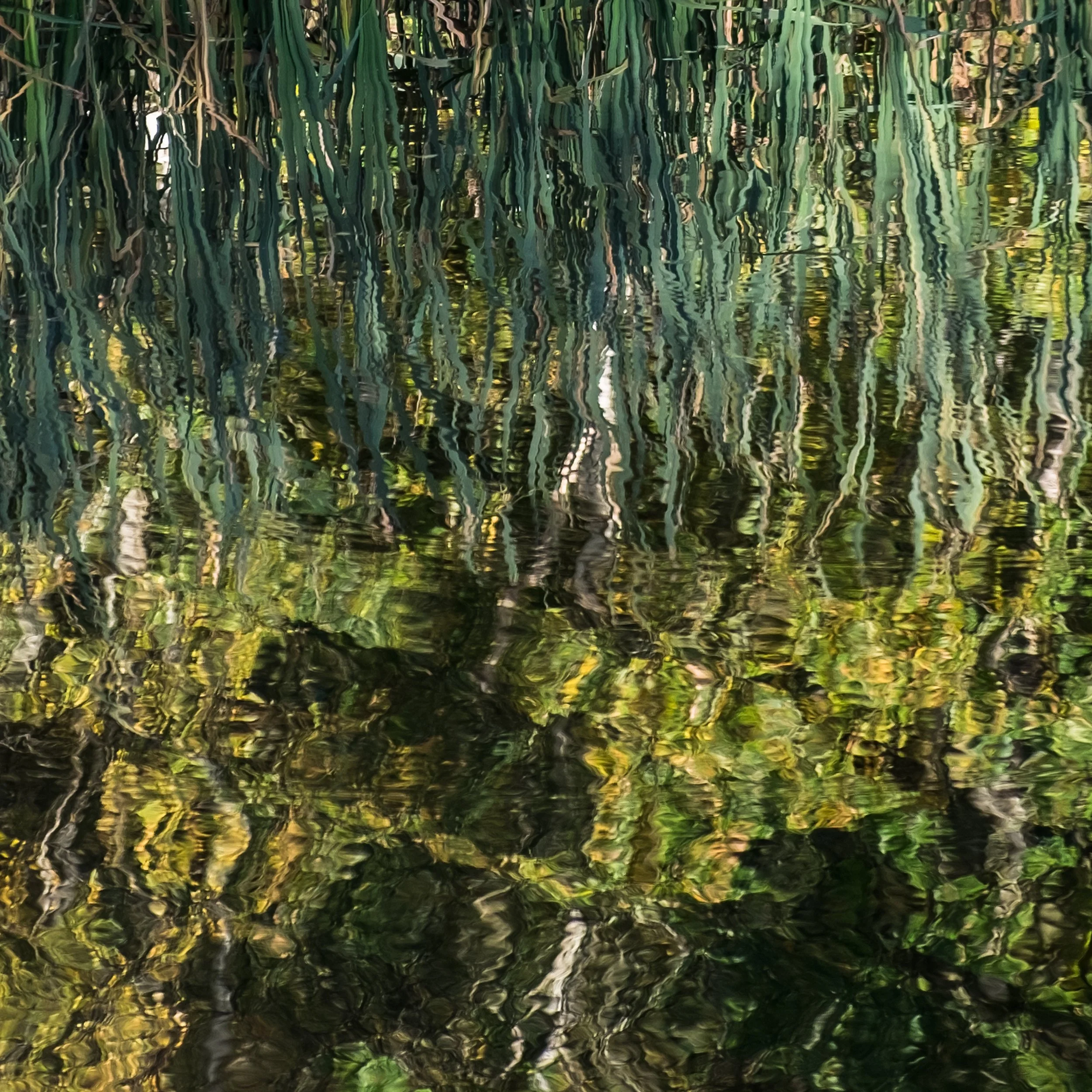 'Intimate Landscapes' And 'Viewpoints'