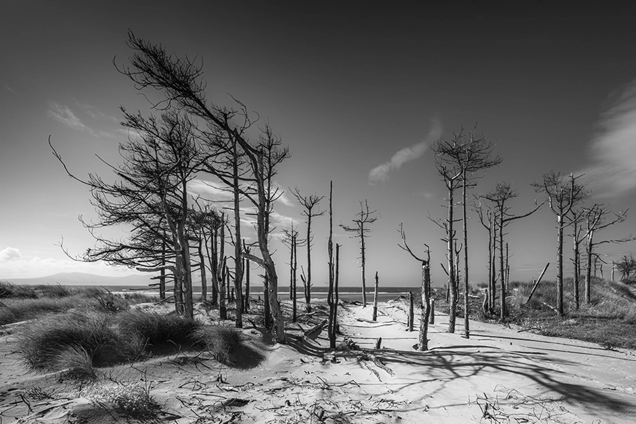 Newborough On A Summers Day baw copy.jpg