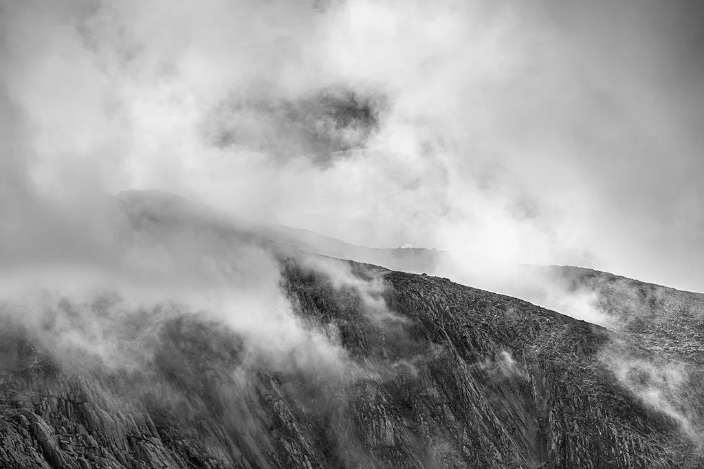 The-Clearing-baw.jpg