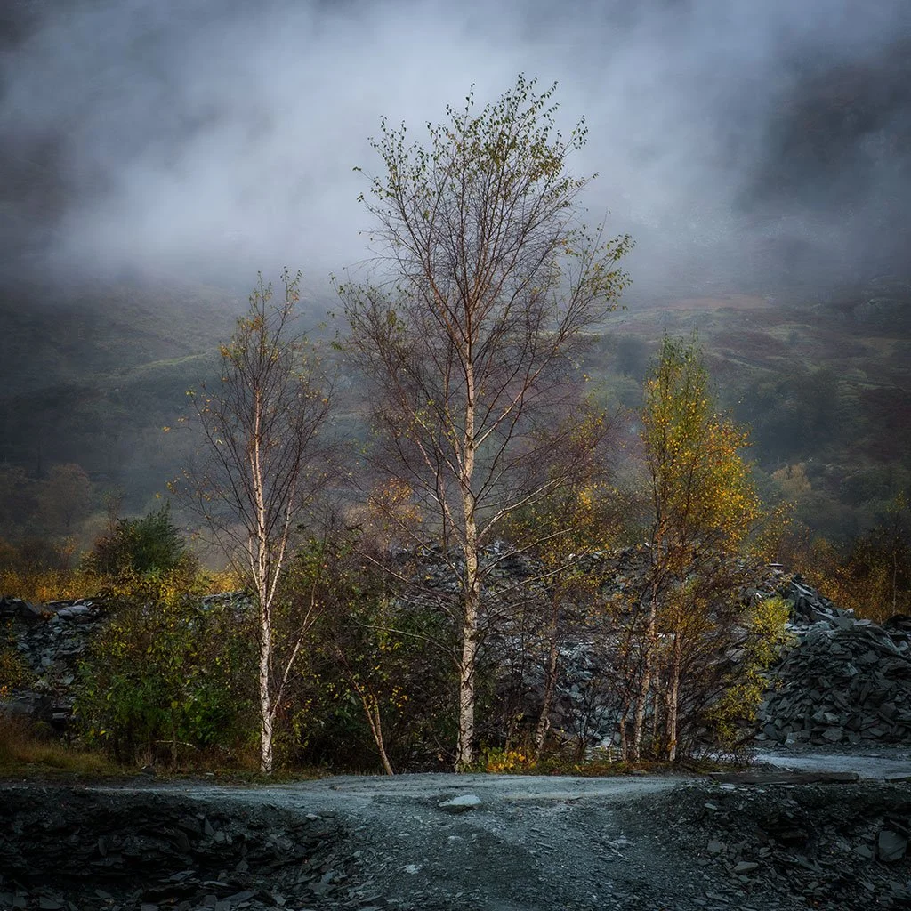 Hodge-Autumnal-Square.jpg