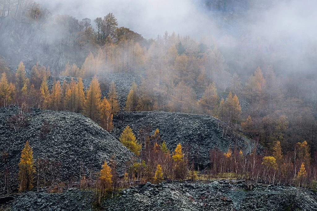Hodge-In-Autumn.jpg