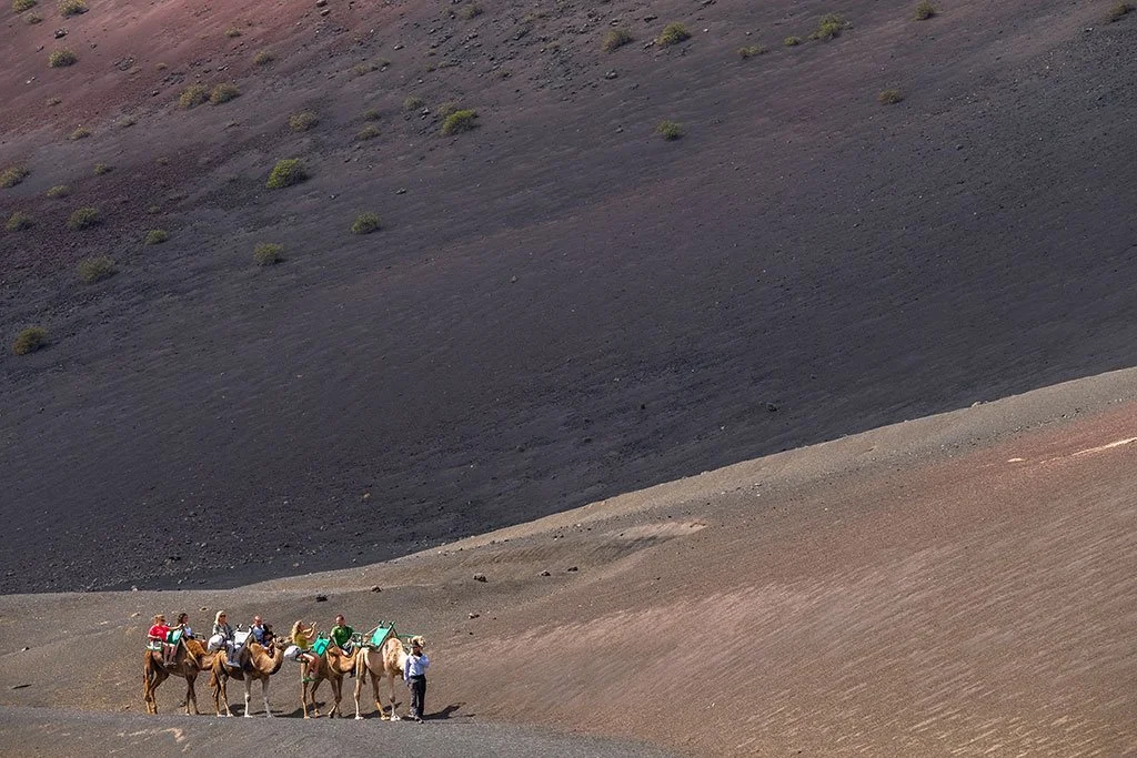 Lanzarote-Camel-Train-At-Timanfaya.jpg