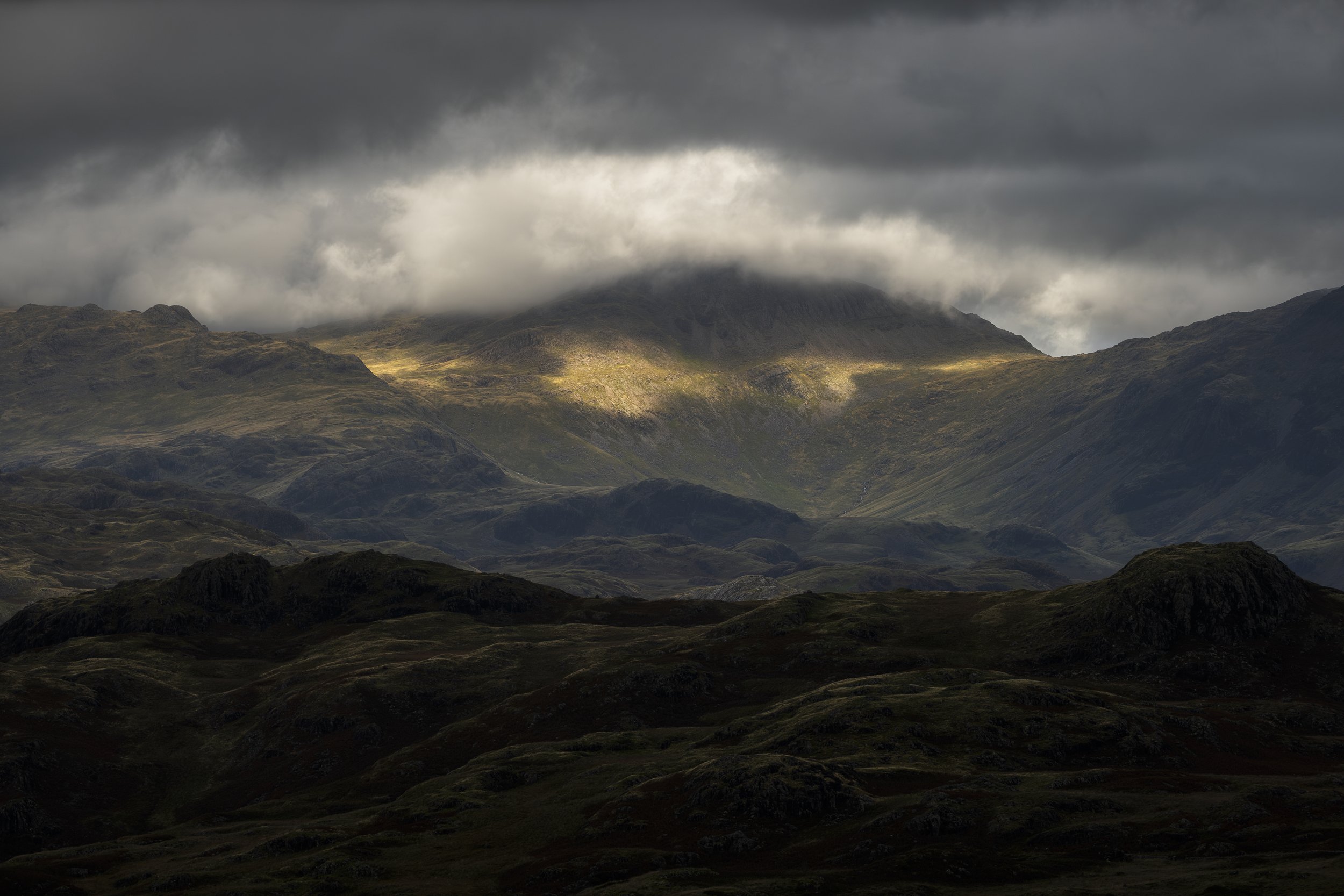 Fleeting Light.jpg