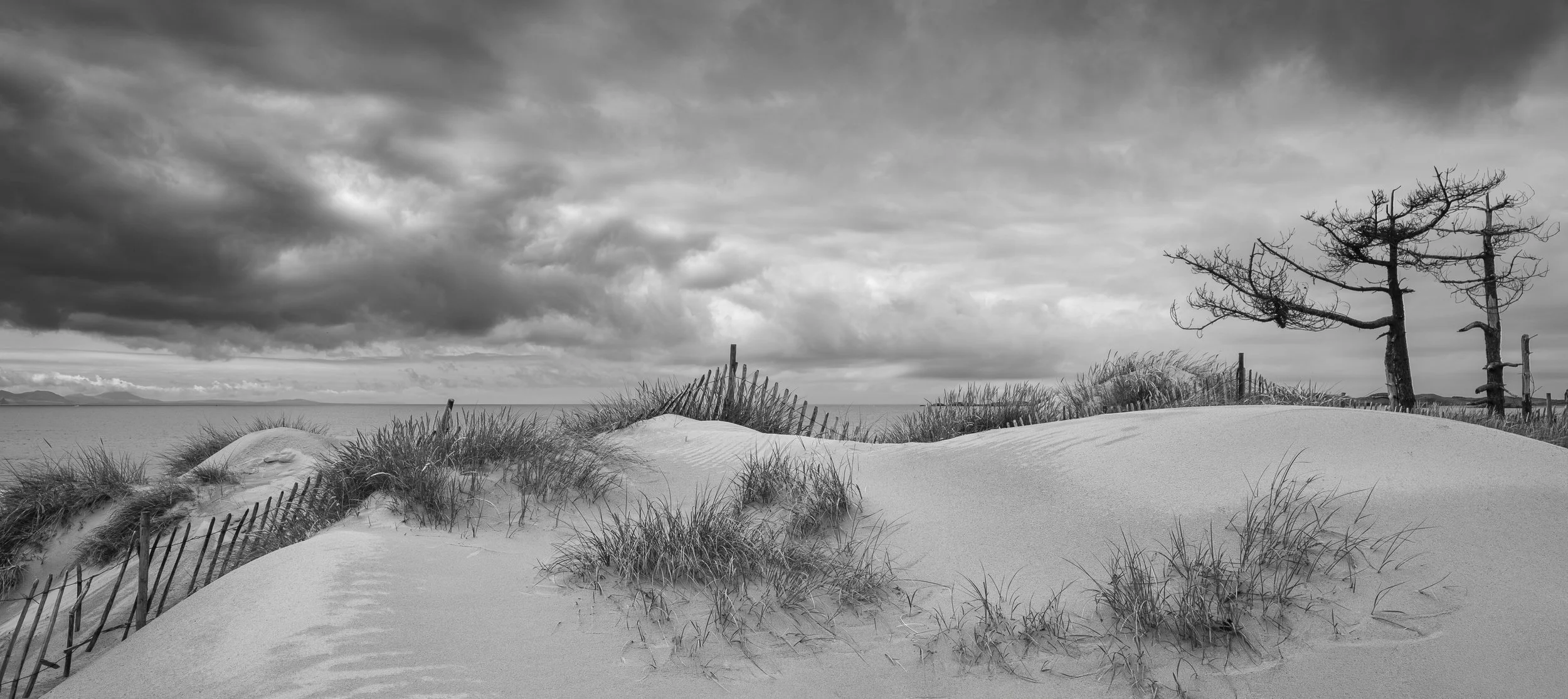 Newborough Pano baw.jpg