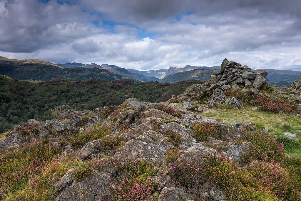 Tom-Heights-Cairn-and-Heather.jpg