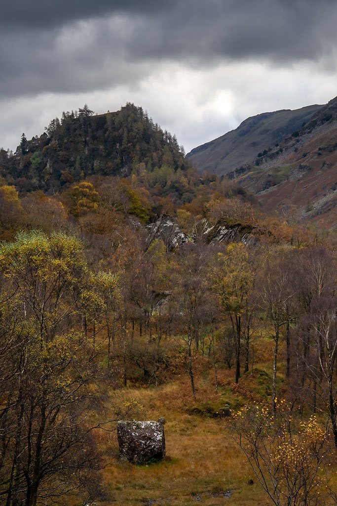 Autumn-Under-Castle-Crag.jpg