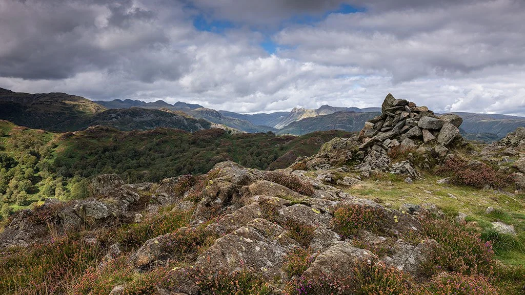 Tom-Heights-With-Heather-In-Bloom-Looking-Towards-The-Langdales-Pano.jpg