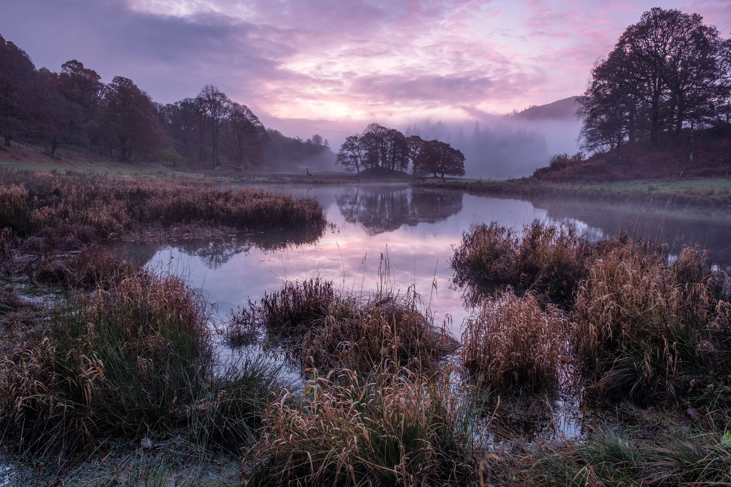 Autumnal Morning By The River Brathay.jpg