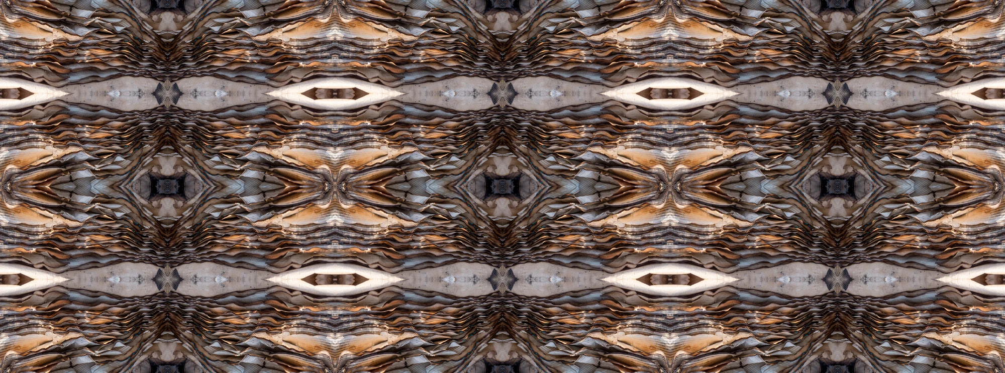 Untitled-2 LR.jpg