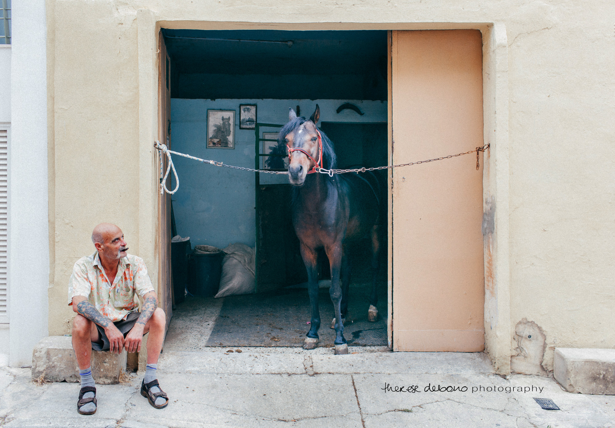 Frans and his beloved horse: 24th June 2015