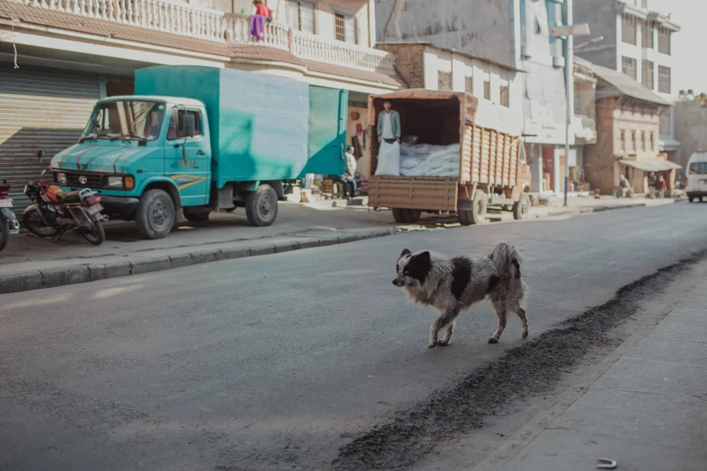 Old Pokhara LR-1973.jpg