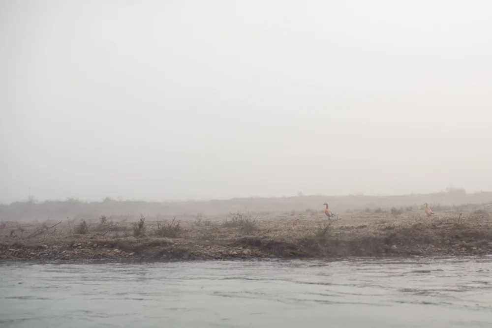 Chitwan LR-2647.jpg