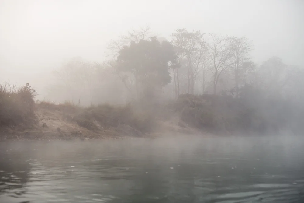 Chitwan LR-2648.jpg
