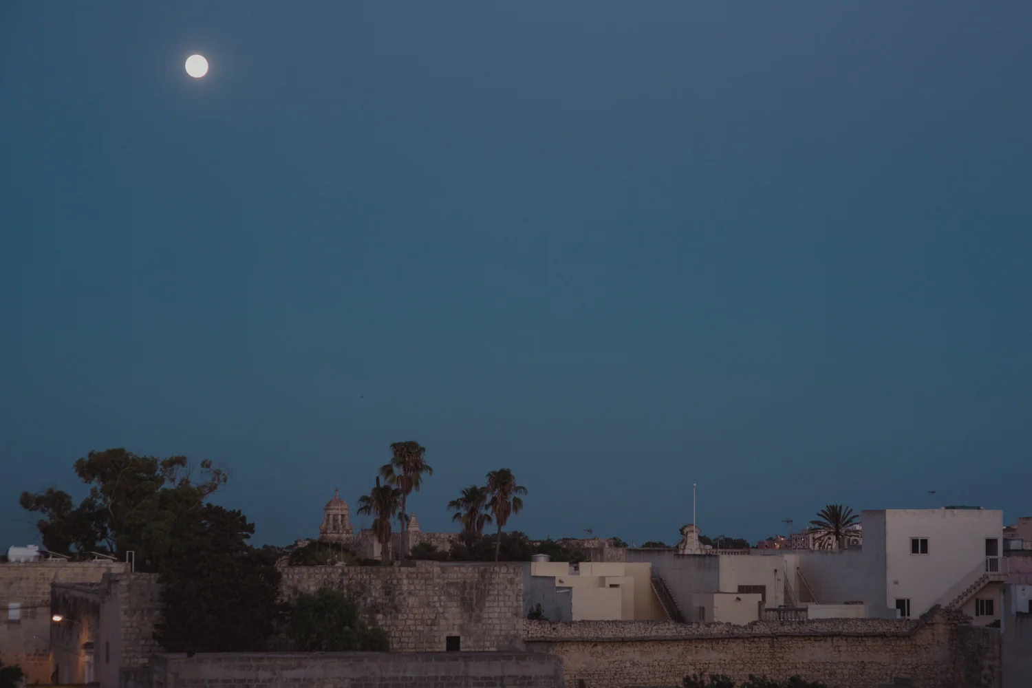 moon rising LR-1.jpg