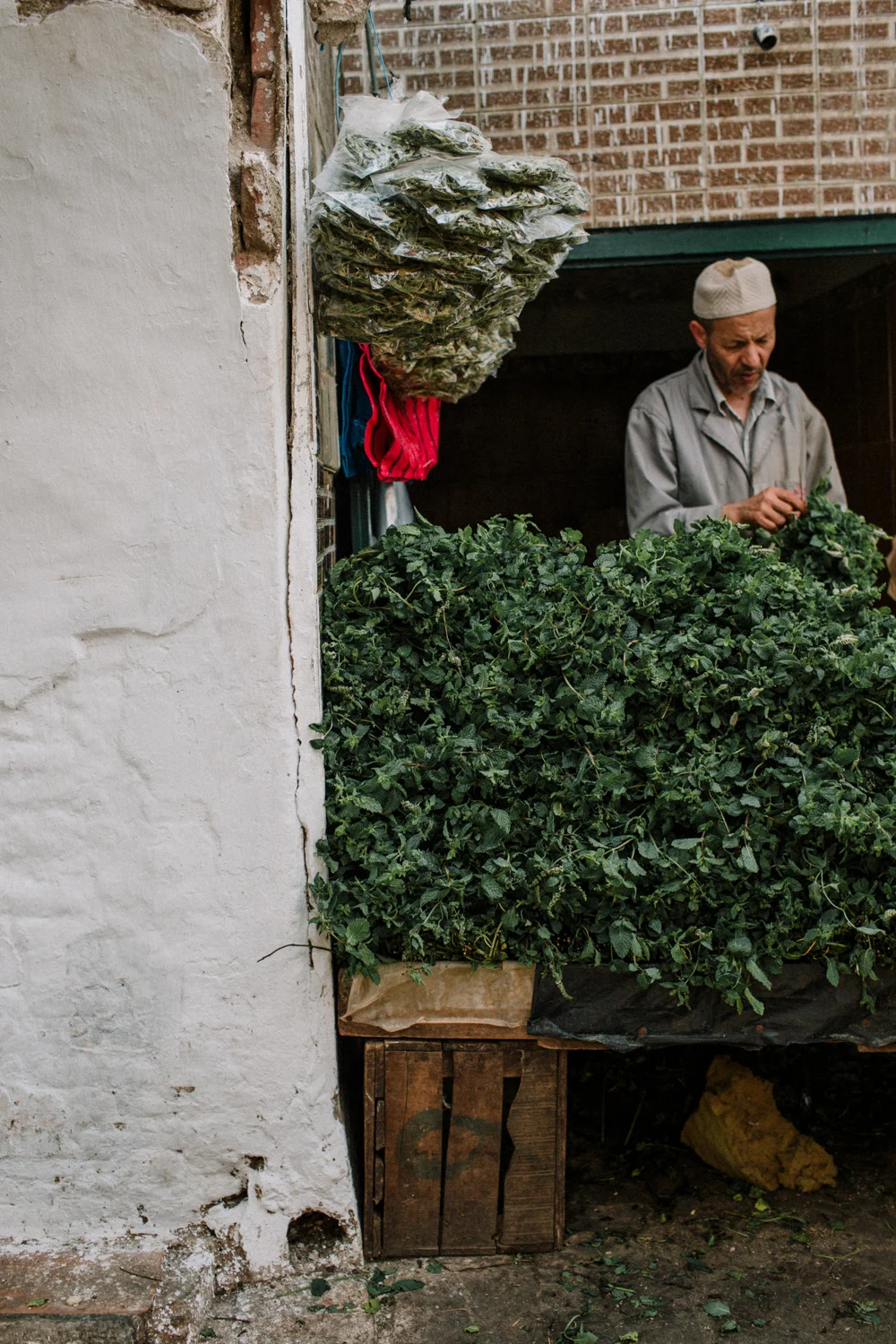 Morocco LR-14.jpg