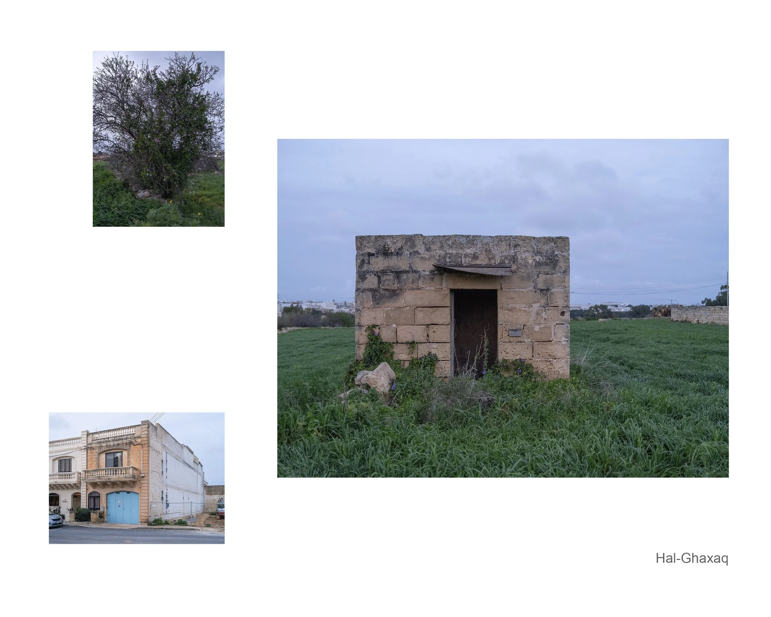 Mangela & ANGELE.jpg