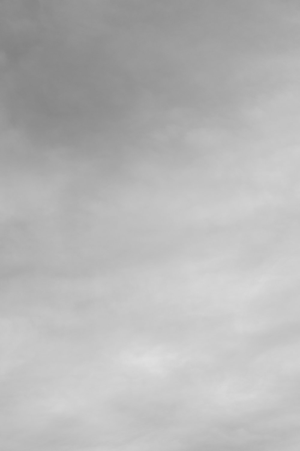 Untitled II_Therese Debono_2026.jpg