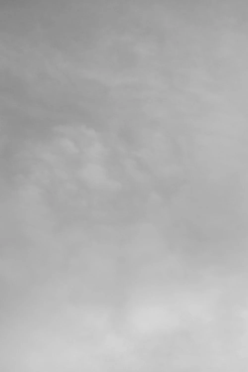 Untitled III_Therese Debono_2026.jpg